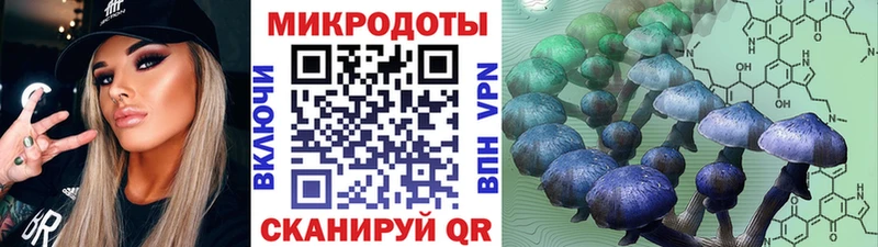 Псилоцибиновые грибы Cubensis  где найти   Ряжск 